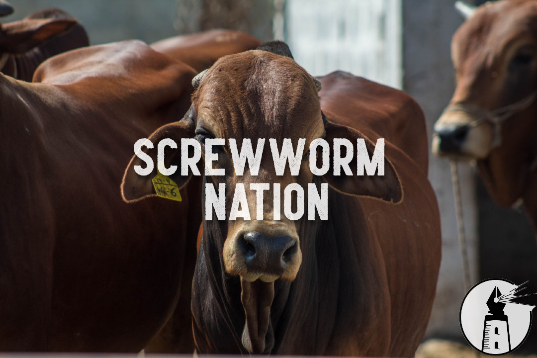 The Pest We Thought We Beat
